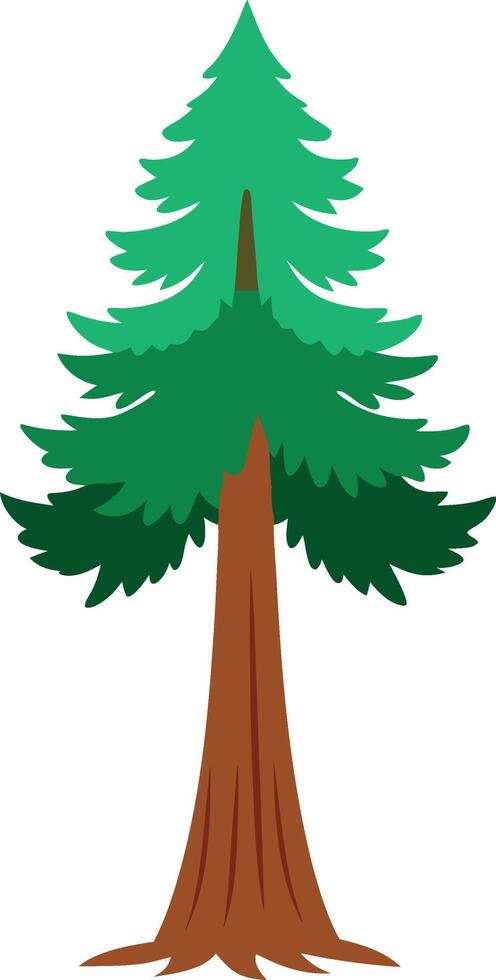 Sequoia, biggest, tree in the world illustration vector