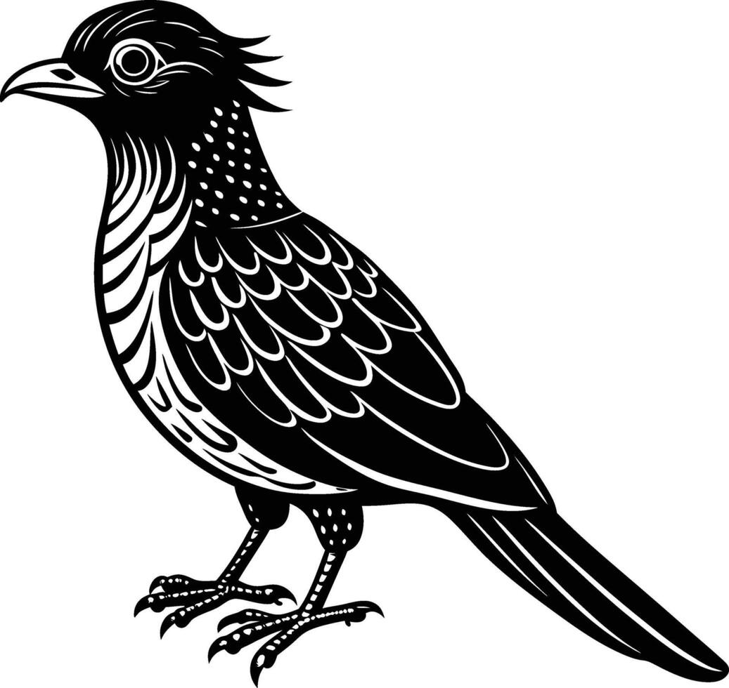 Drawing a Cuckoo vector
