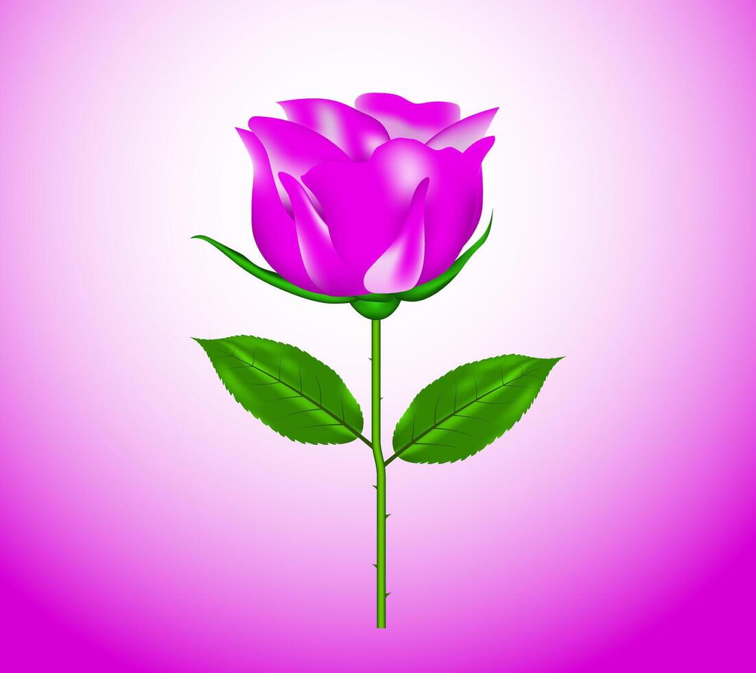 Realistic rose design, 3d flower vector