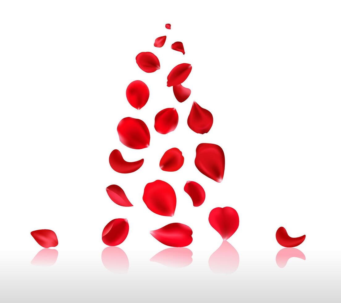 Falling red rose petals isolated on white background. Beauty rose petals. vector