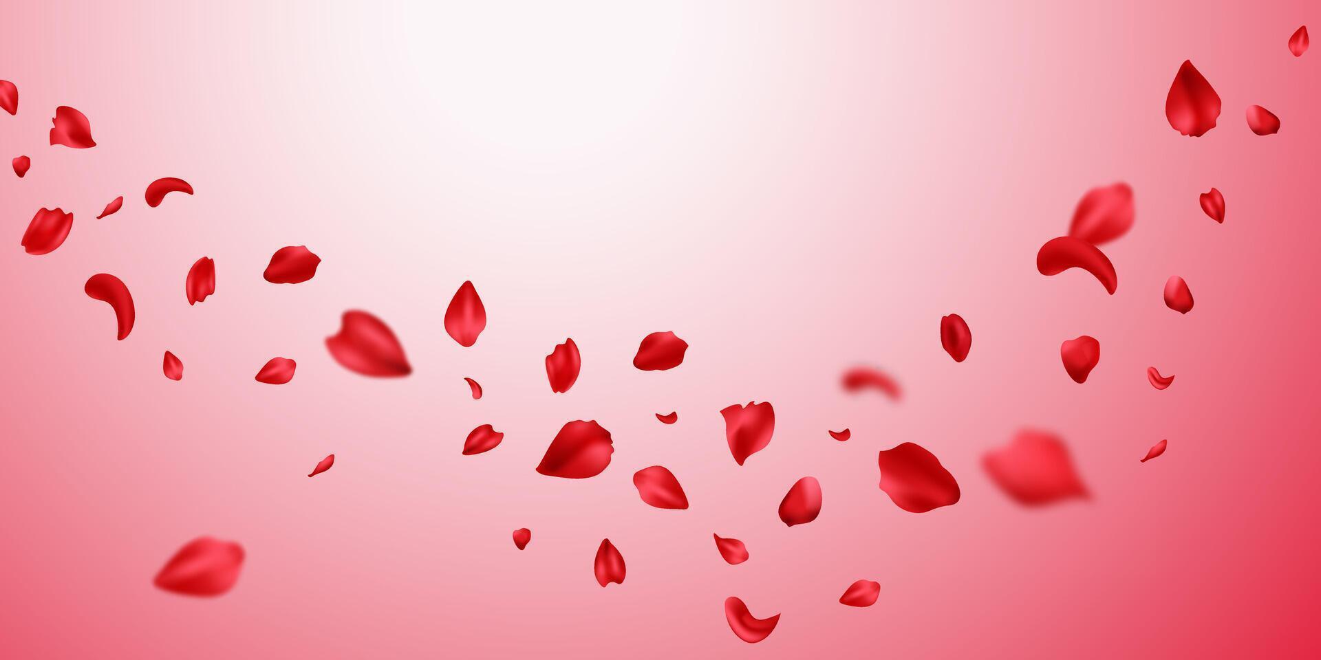 Red rose petals will fall on abstract floral background. Rose petal greeting card design. Lettering Card Background. petal illustration vector