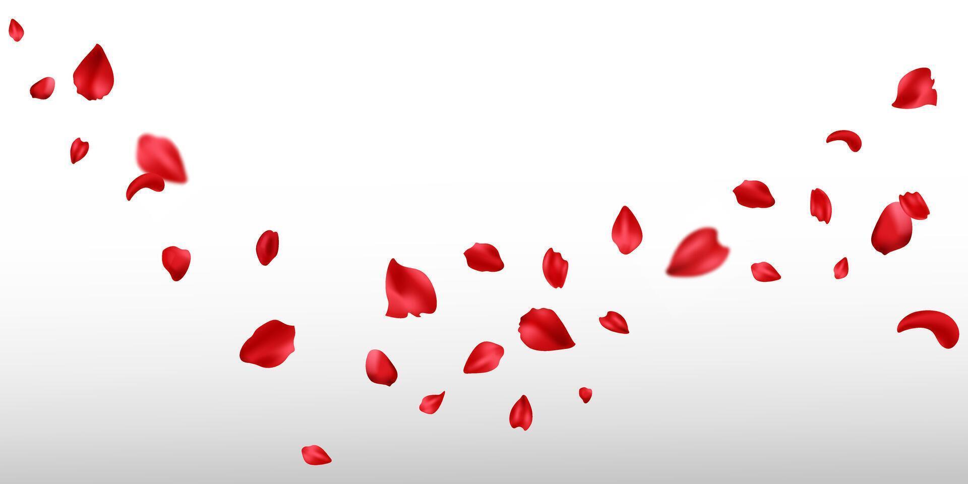 Red rose petals will fall on abstract floral background. Flowers plants elements leaves red petals collection. Rose petal greeting card design. vector