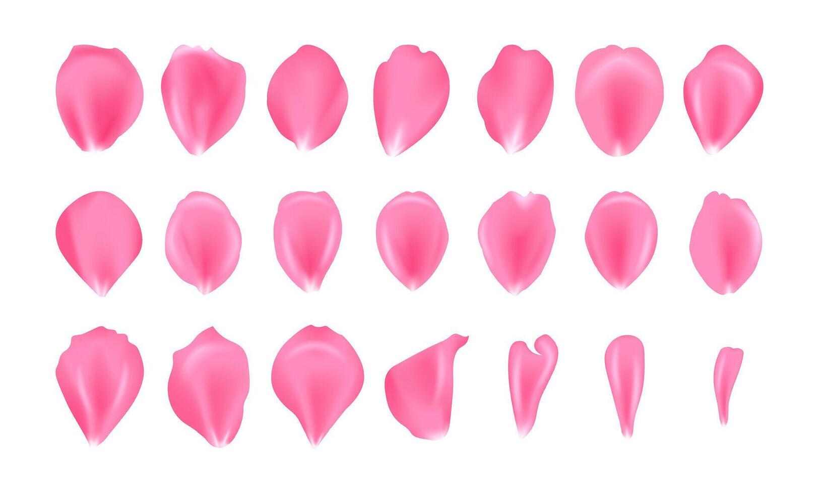 Realistic elements set of rose petals. Rose petals. Flowers plants elements leaves Red petals collection. Ads. vector