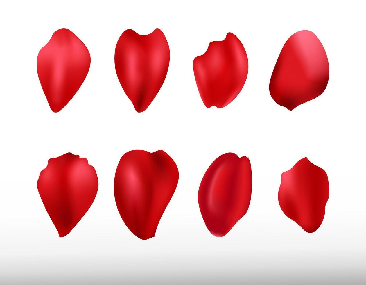 Realistic elements set of rose petals. Rose petals. Illustration flower blossom, petal red collection vector