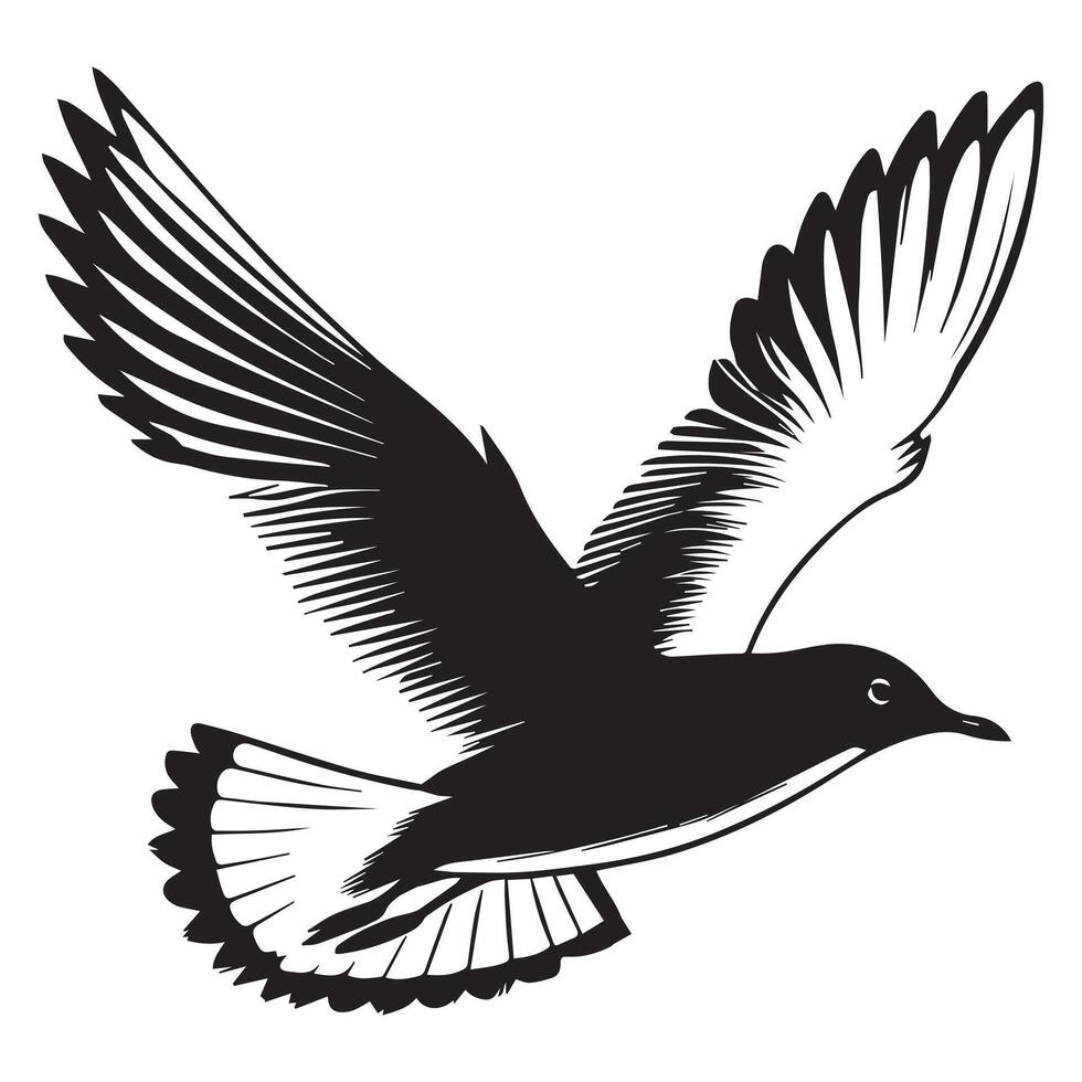 Black-headed Gull Silhouette, Chroicocephalus ridibundus Clipart, Black-headed gull gliding wings Illustration in black and white vector