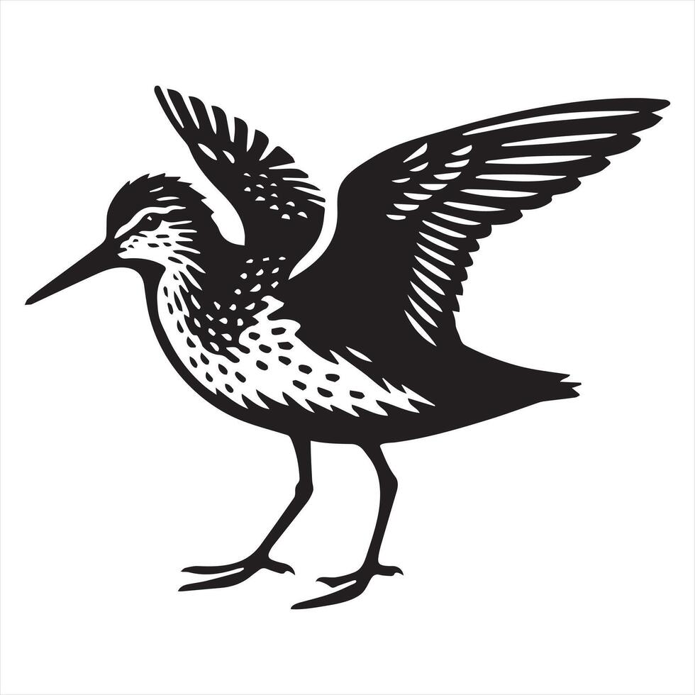 Common Sandpiper Silhouette - Sandpiper Birt Clipart, Common Sandpiper standing Illustration in black and white vector