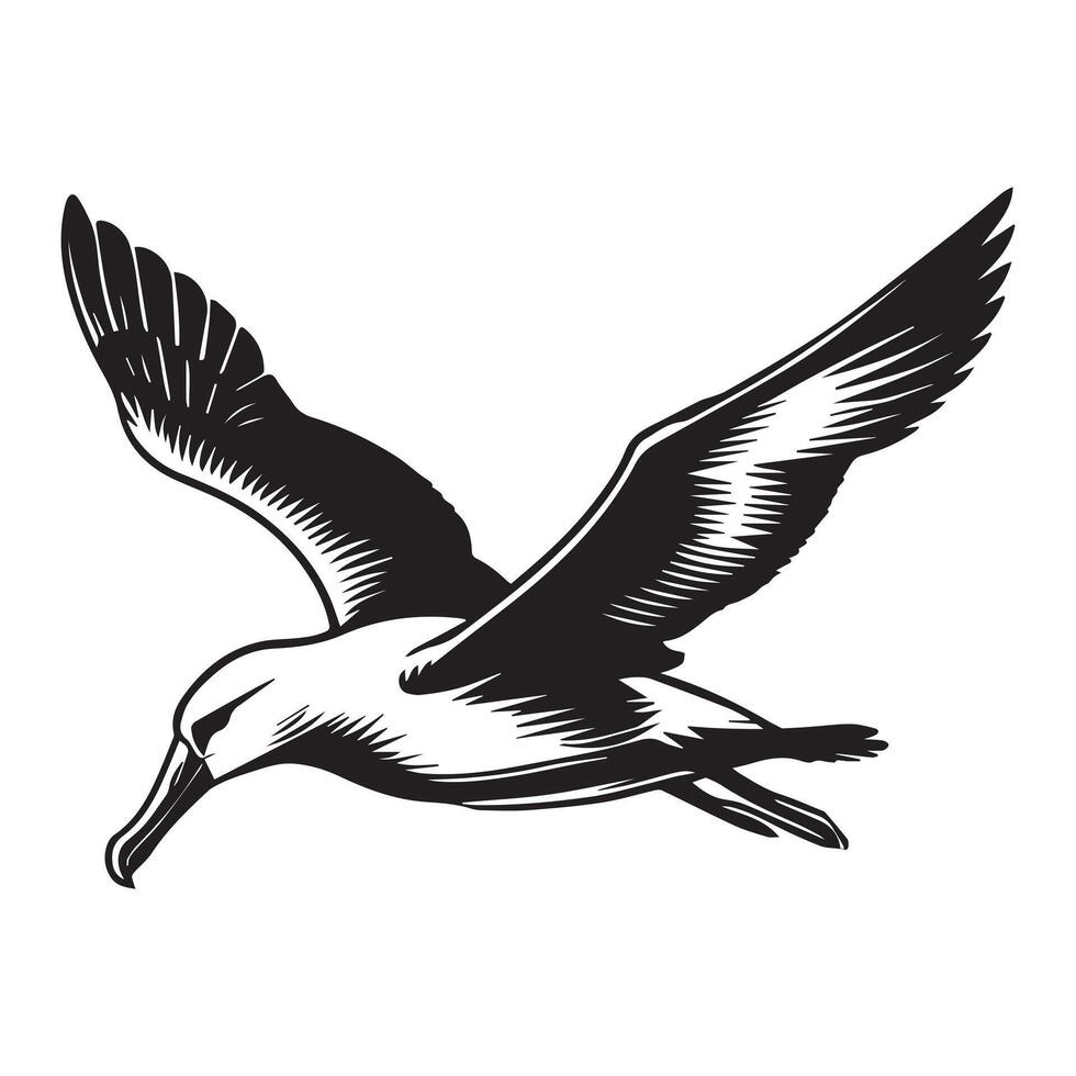 Albatross silhouette, Diomedeidae Bird Clipart, A Albatross in Flight illustration in black and white vector
