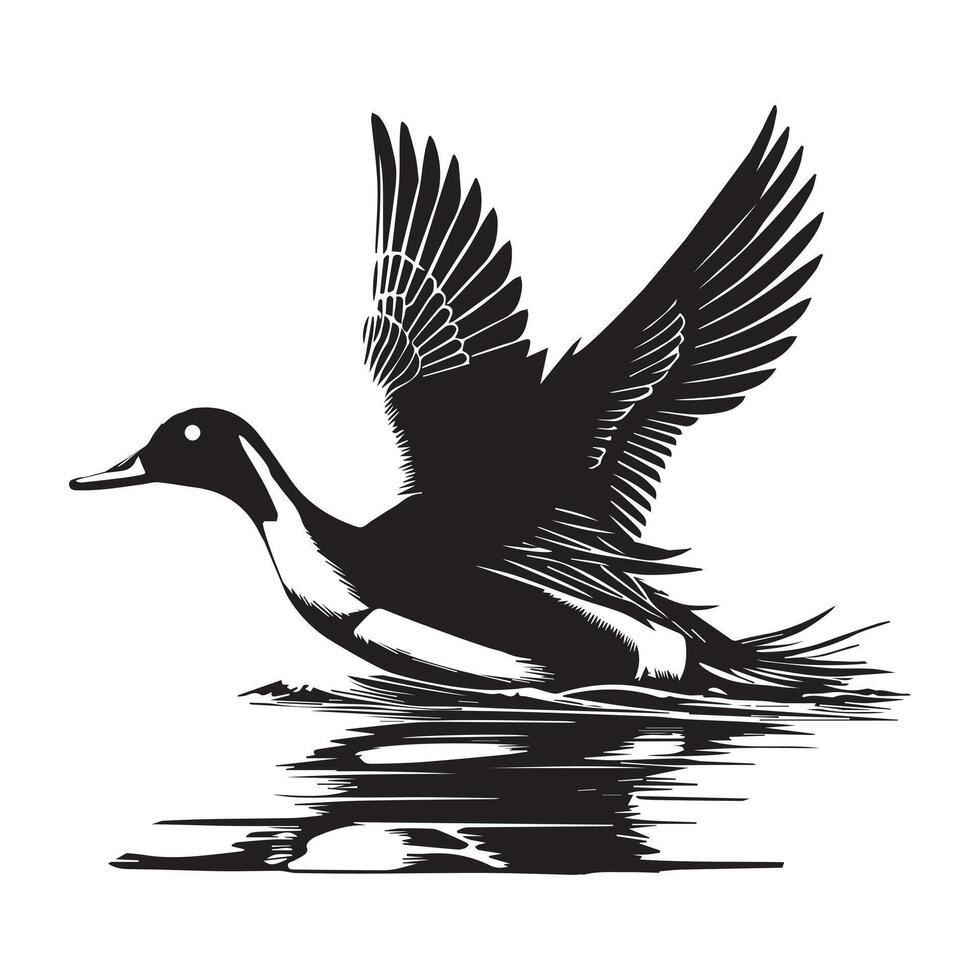 Northern Pintail Silhouette, Wild Duck Clipart, Northern Pintails Gliding over water surface illustration in black and white vector