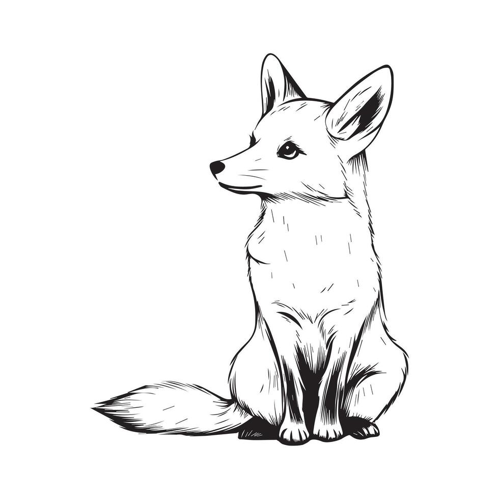 Jackal Outline Design, Jackal Clipart, A Jackal sitting illustration in black and white vector