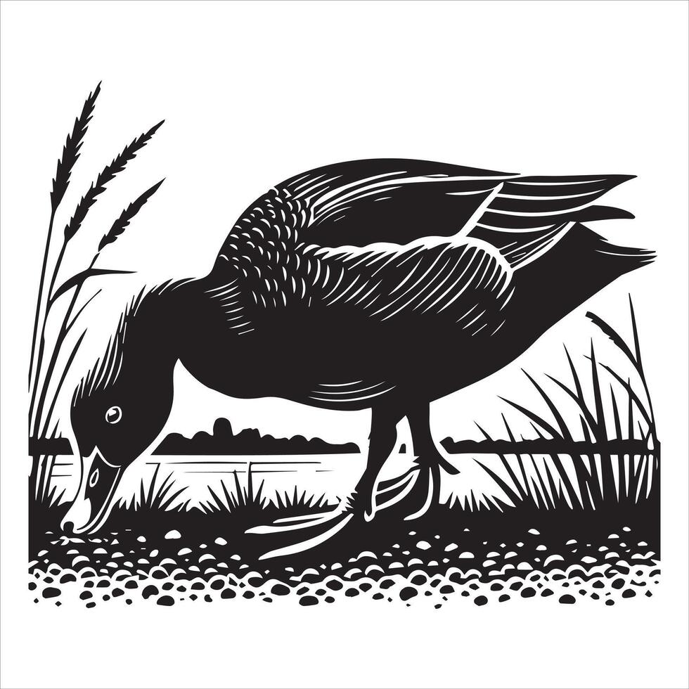 American Black Duck Silhouette, Black Duck Clipart, American Black Duck Feeding on land head down illustration in black and white vector