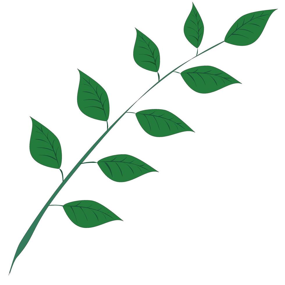 green leaves isolated on white background vector