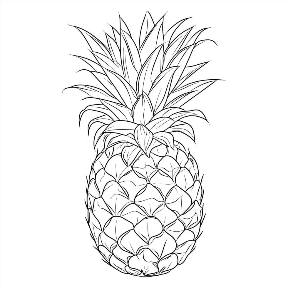 Cartoon pineapple, outlined for coloring page. pineapple illustration. vector