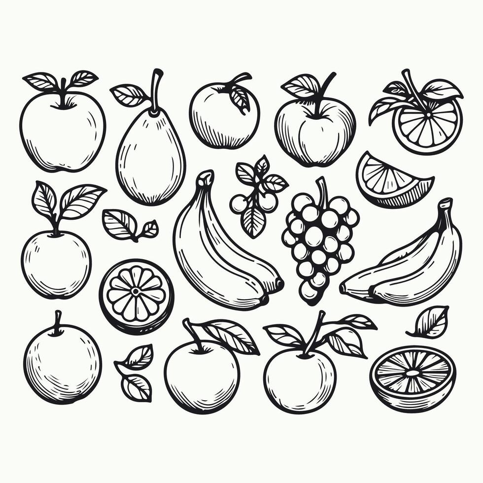 Simple Fruit Sketch Illustrations vector