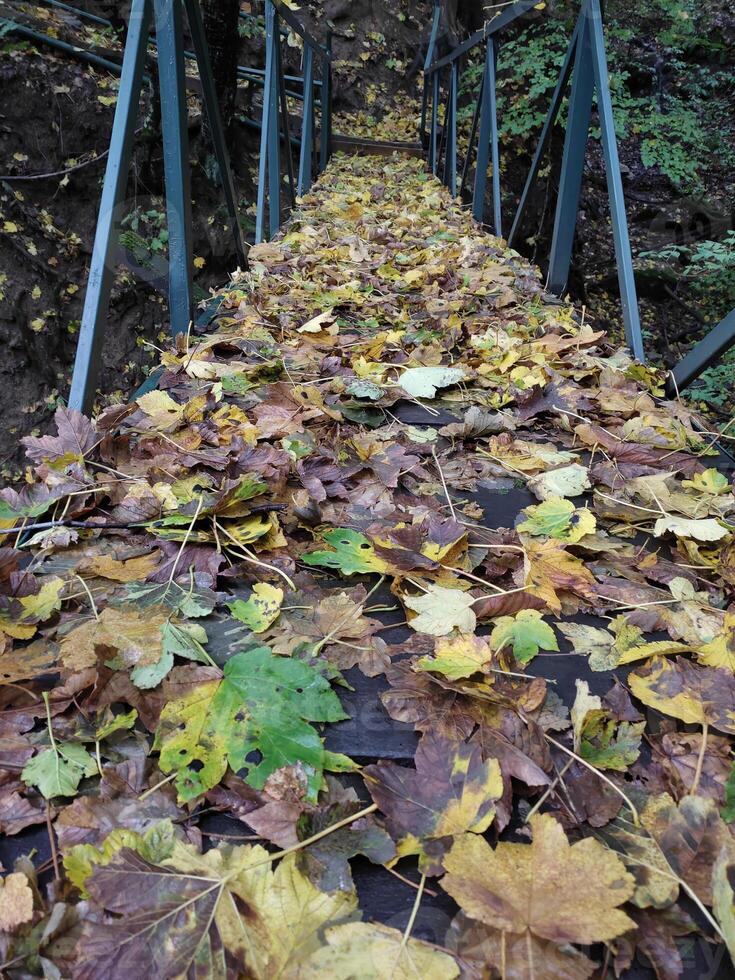 A bridge covered with colorful leaves in the village of Dolno Jelovce, Gostivar, Macedonia, on a beautiful autumn day photo