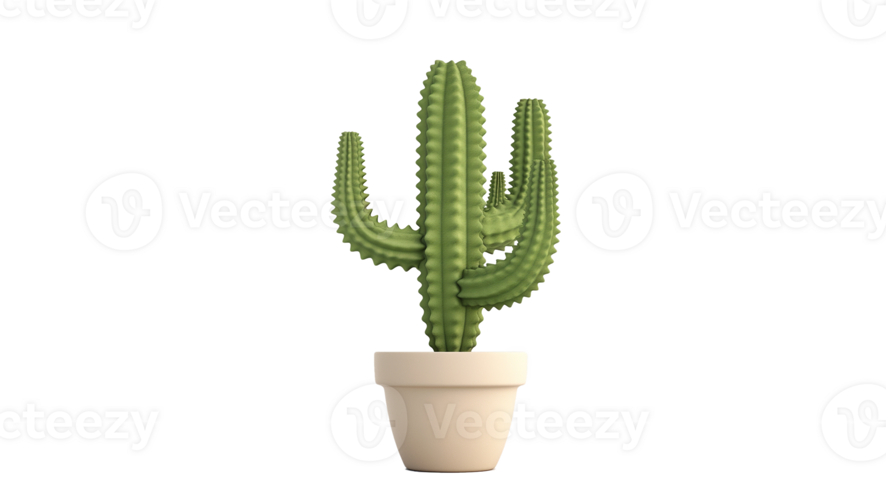 A cactus is in a white pot. The cactus is green and has a spiky appearance png