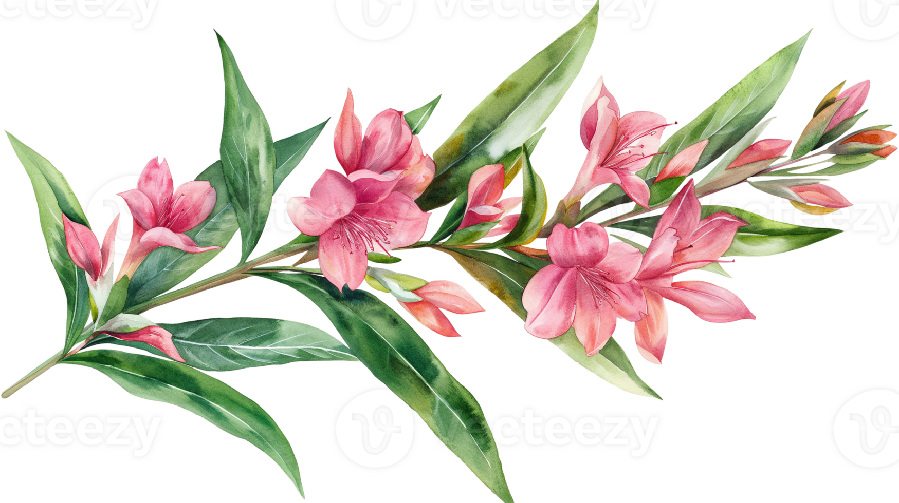 A watercolor painting of three pink flowers on a branch. The flowers are arranged in a way that creates a sense of movement and flow. The painting has a serene and calming mood png