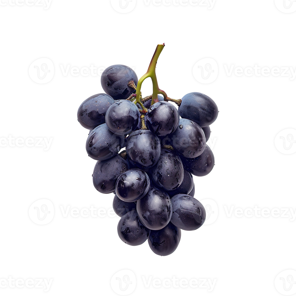 Dark Grapes Isolated on a Transparent Background png