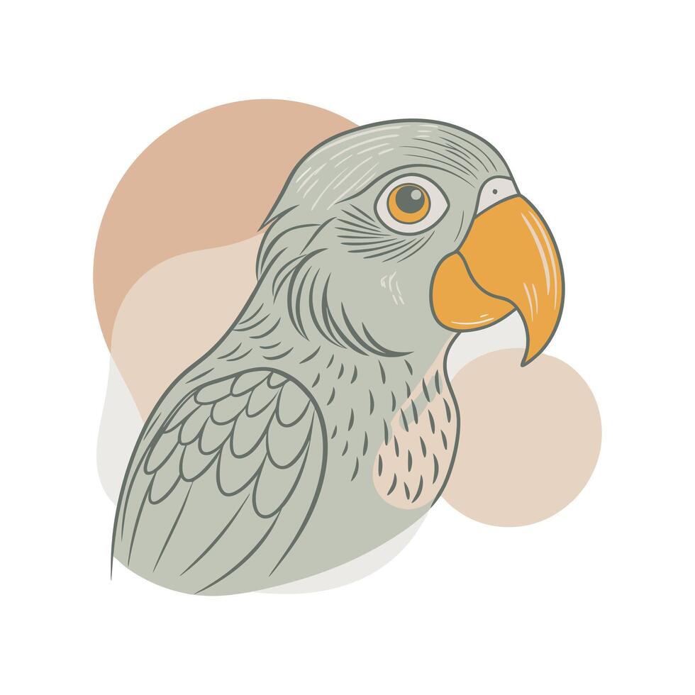 Parrot Illustration Design vector