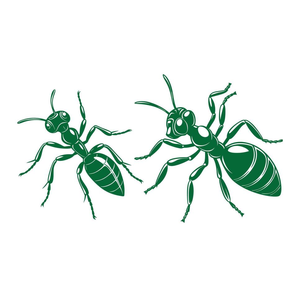 Ant Vectors Illustration