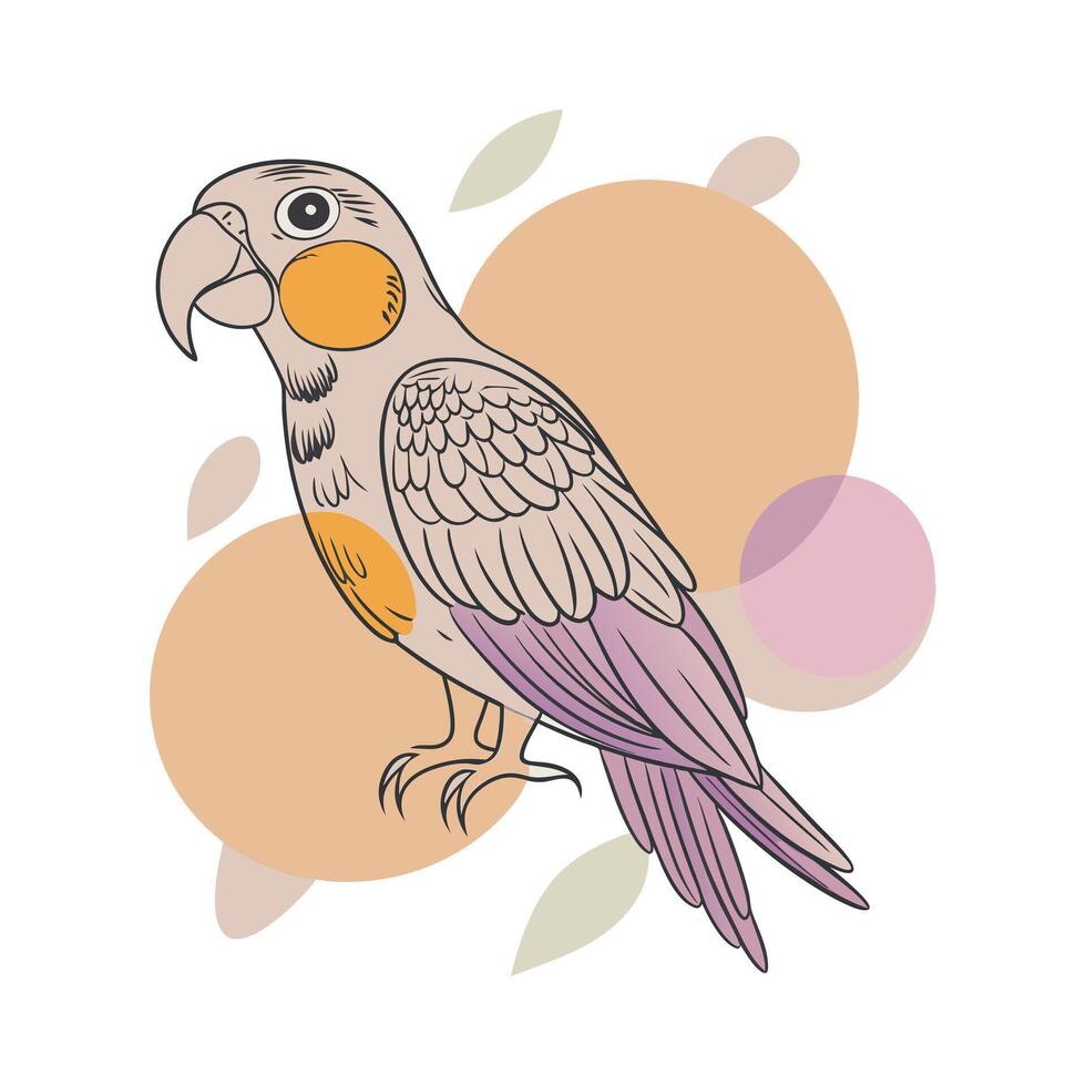 Parrot Illustration Design vector