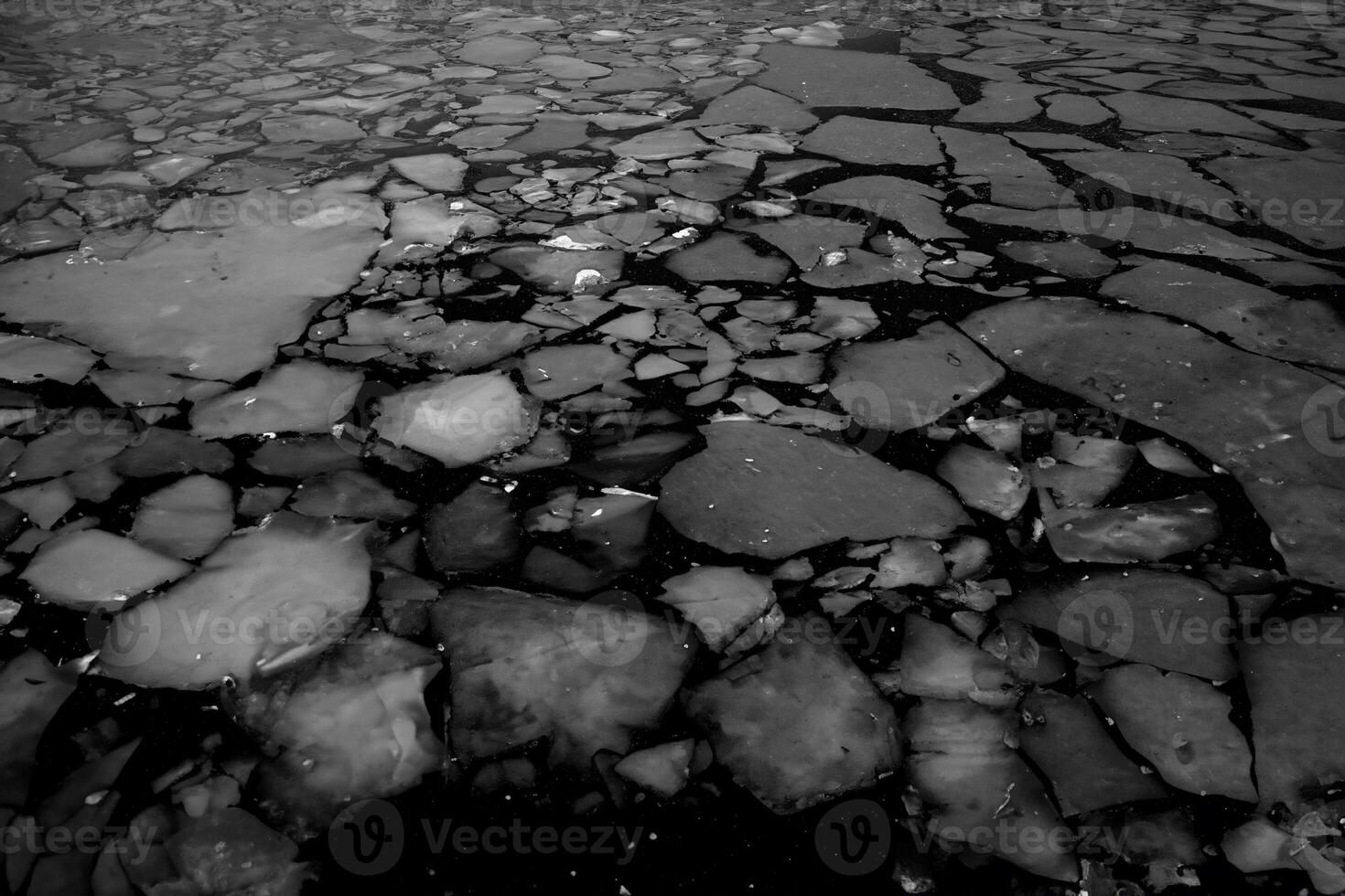 Close-up of Floating Ice in Water Surface photo