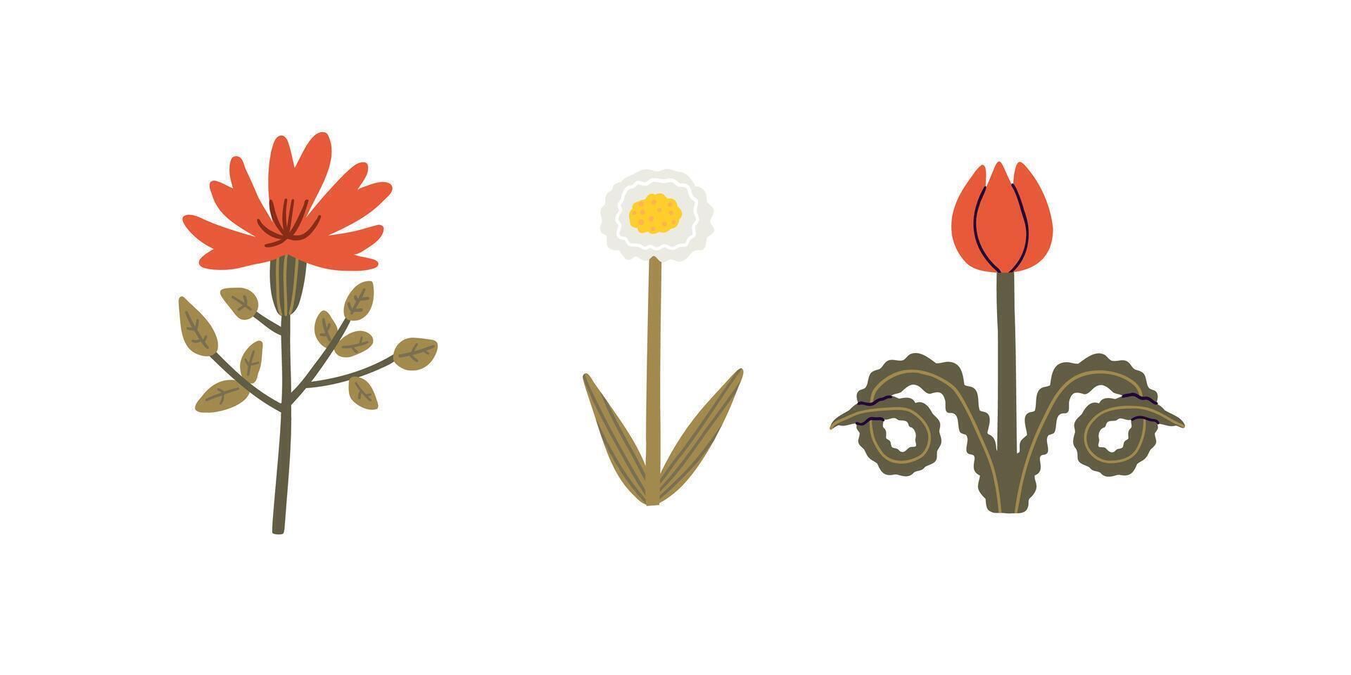Set of desert plants in flat style. Summer, desert, plants. Hand drawn illustration. vector