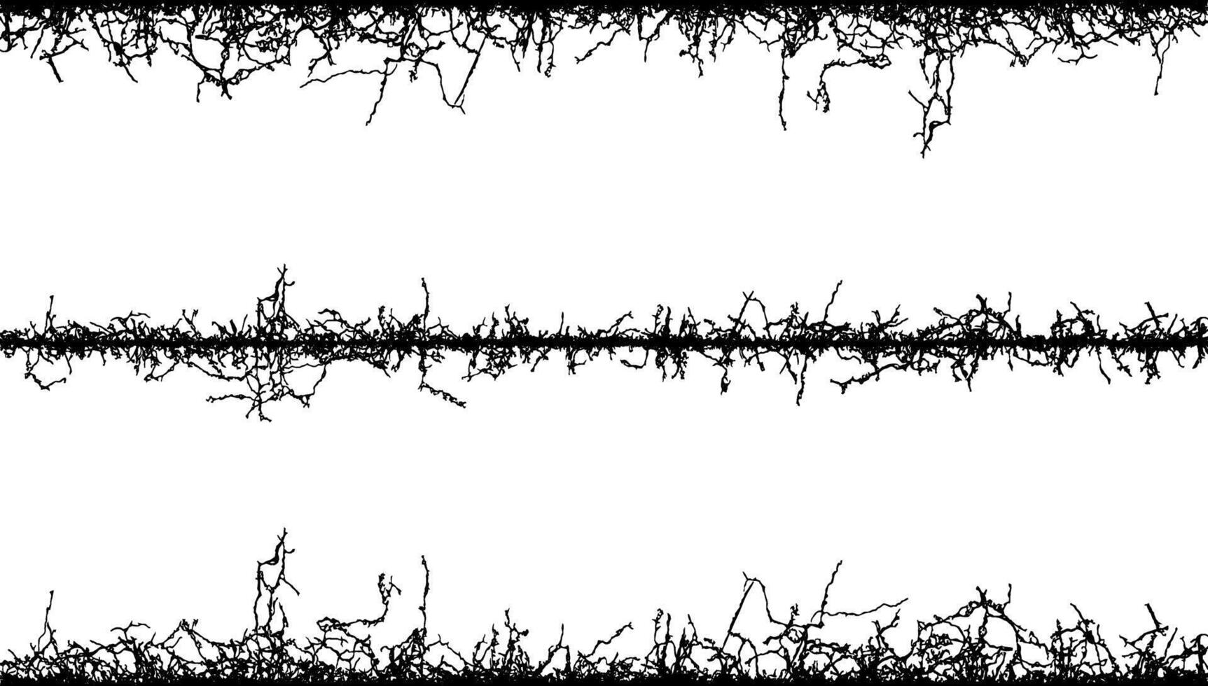 barbed wire seamless pattern, barbed wire fabric frame, a series of black and white lines with branches, barbed wire seamless pattern, vector