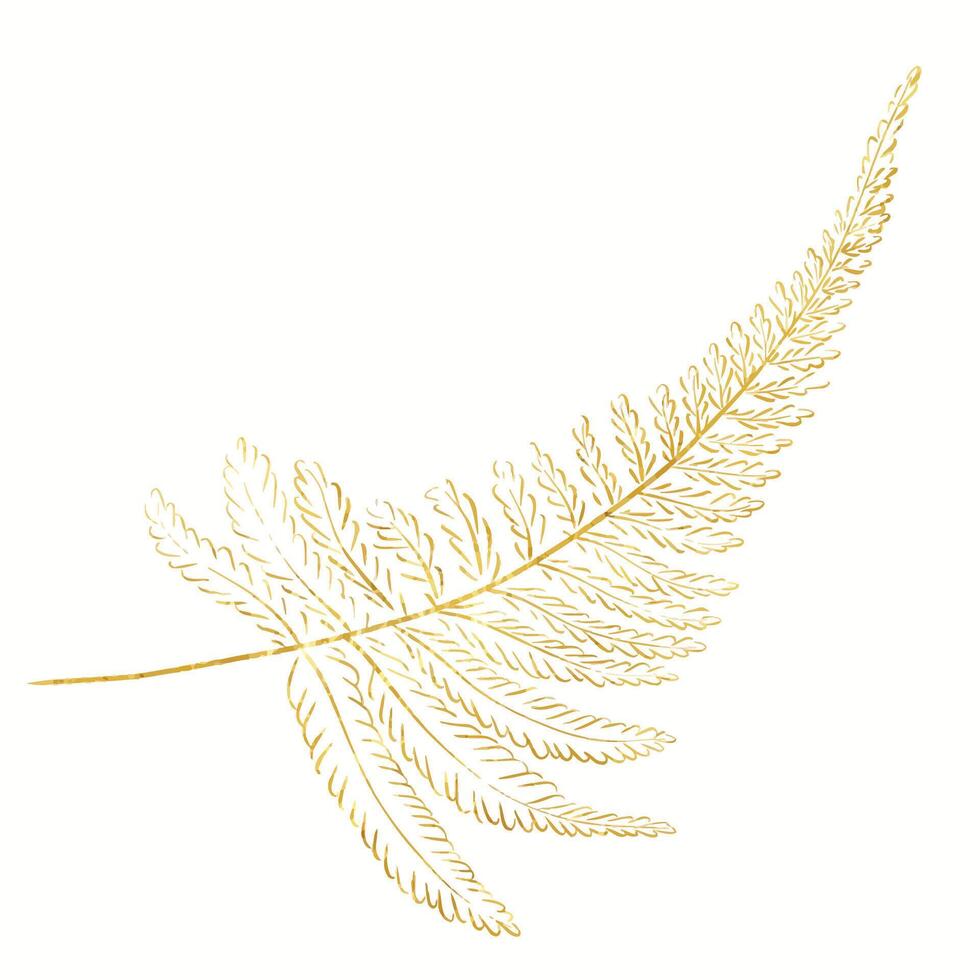 Golden fern leaf. Tropical forest botany. exotic plants. Ideal for wedding design, cards, posters. vector