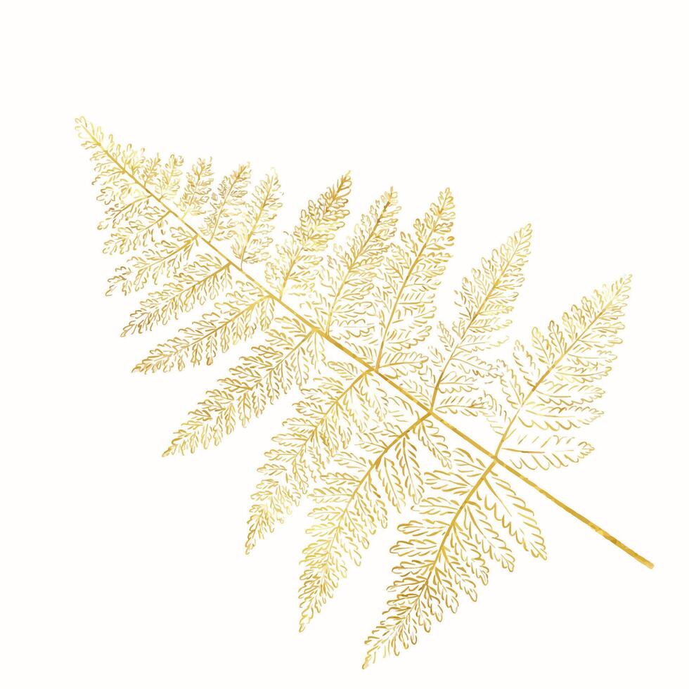 Golden fern leaf. Tropical forest botany. exotic plants. Ideal for design. vector