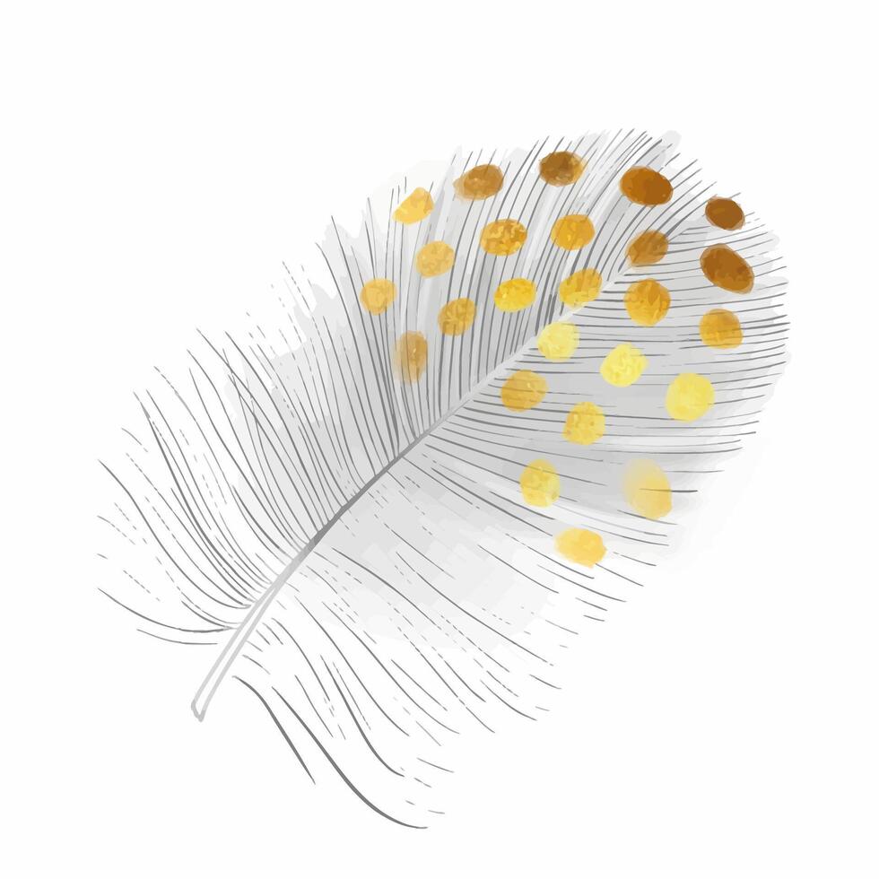 Black feather illustrations. Soft and downy feather of bird. Hand drawn element for packaging, label, logo, icon design. Symbol of lightness. Isolated on white. vector