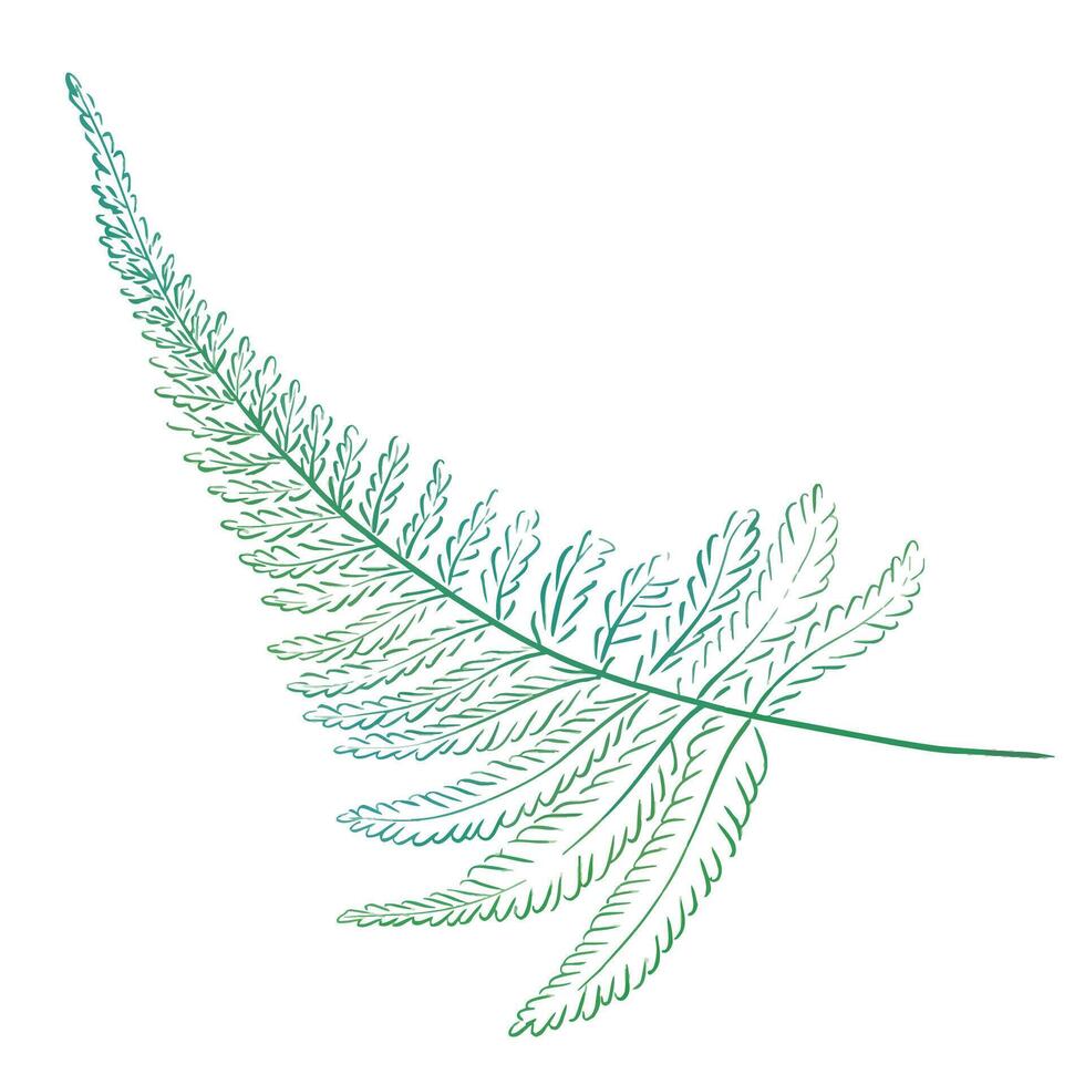 Watercolor fern branch, tropical leaves, luxury design. forest botany. vector