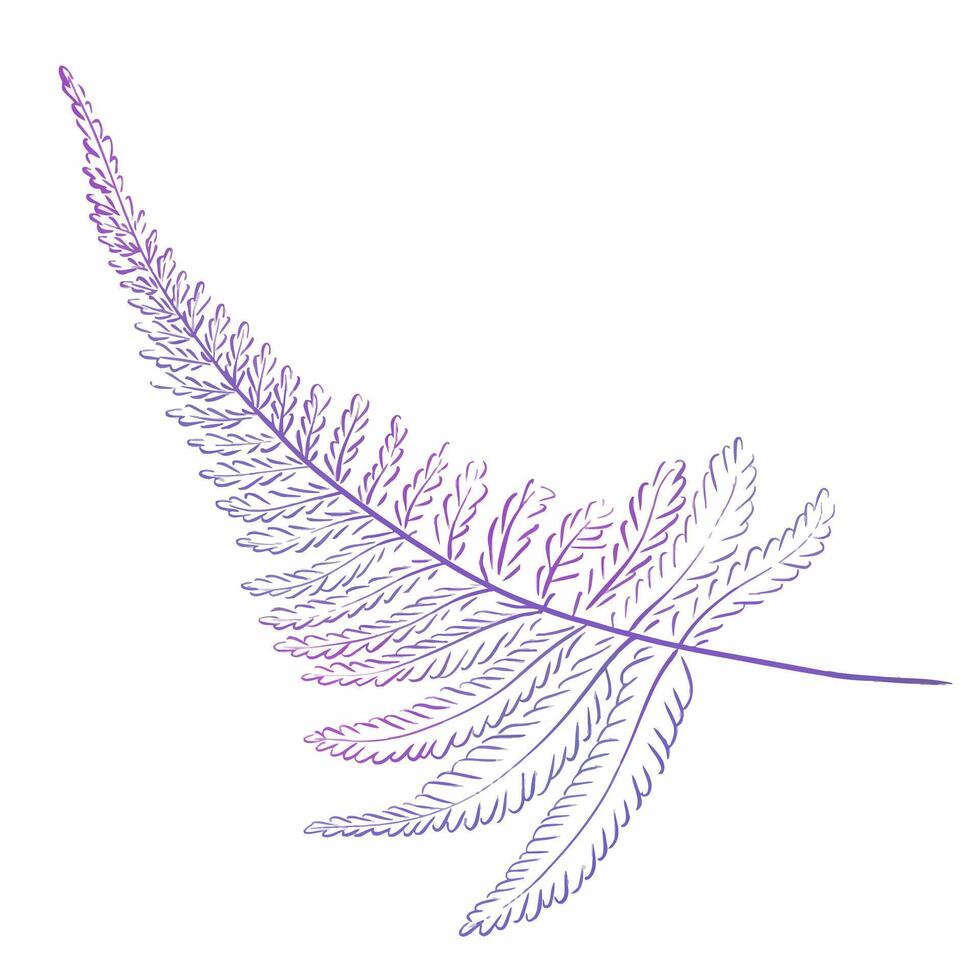 Purple fern branch, tropical leaves, luxury design. Forest botany. vector