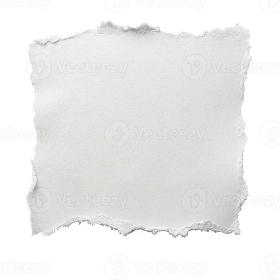Torn Paper Texture - White Background png