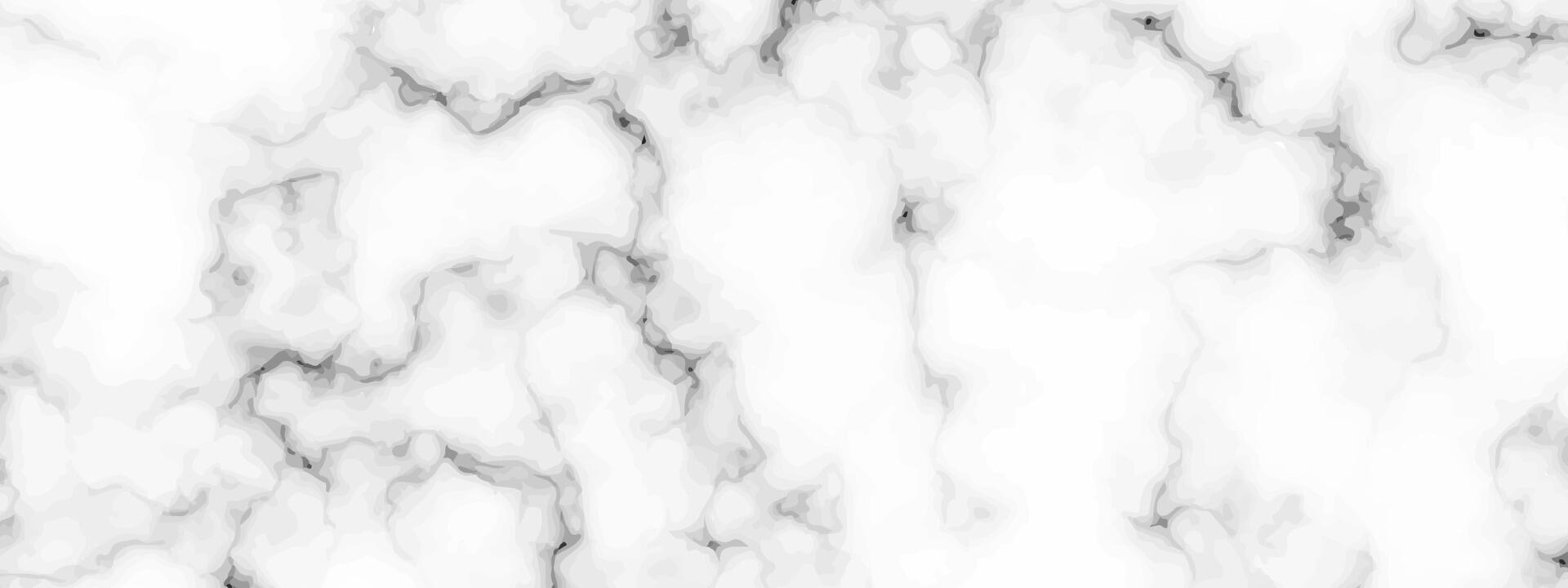 White marble texture background vector