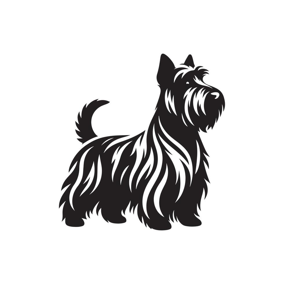 Scottish Terrier , silhouette, illustration on white background vector