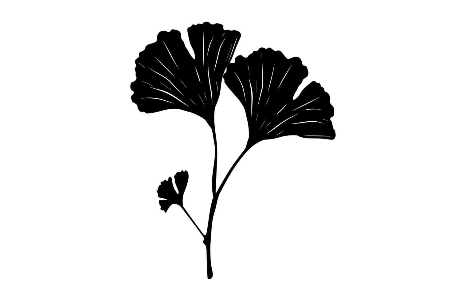 Ginkgo Leaf Silhouette vector