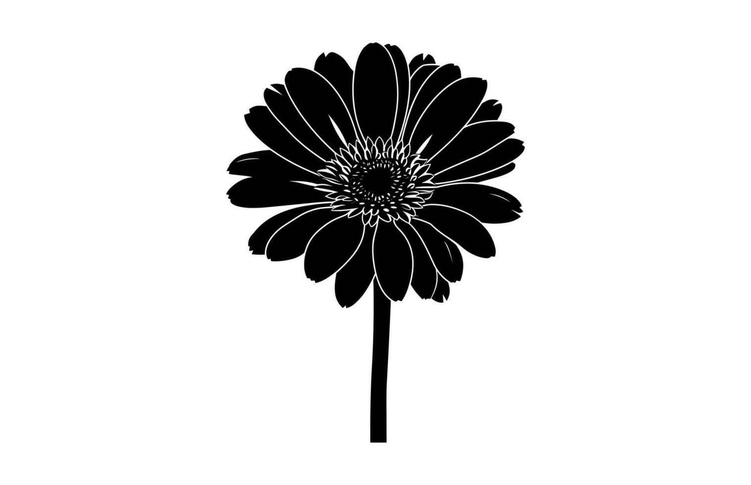 Gerbera Flower Silhouette vector