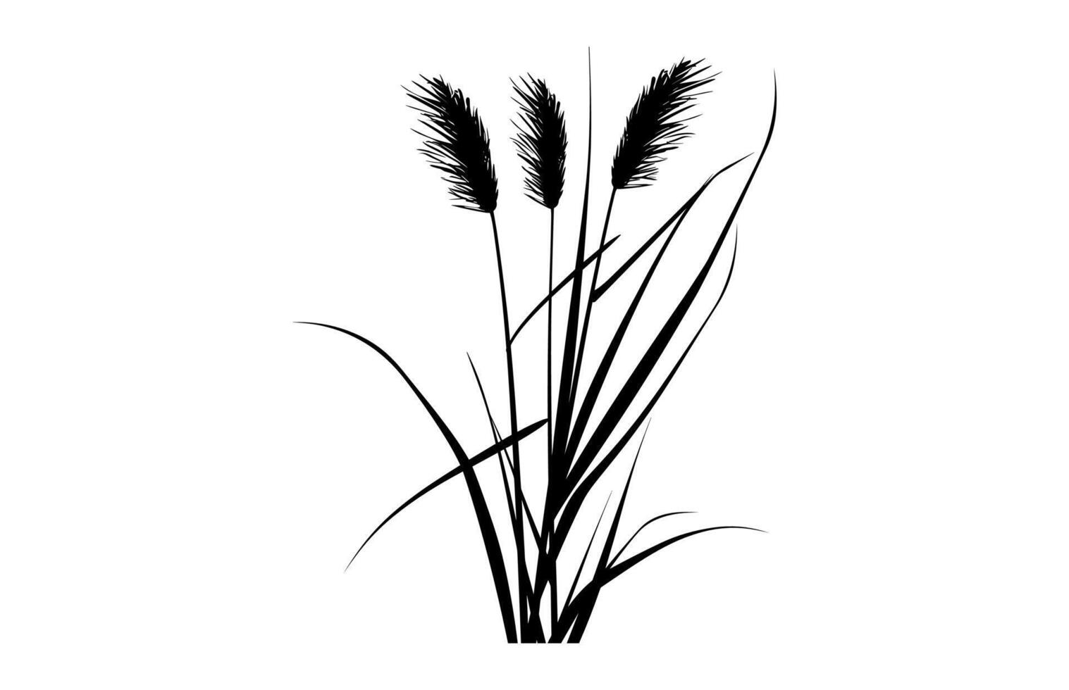 Cattail Silhouette isolated on a white background vector