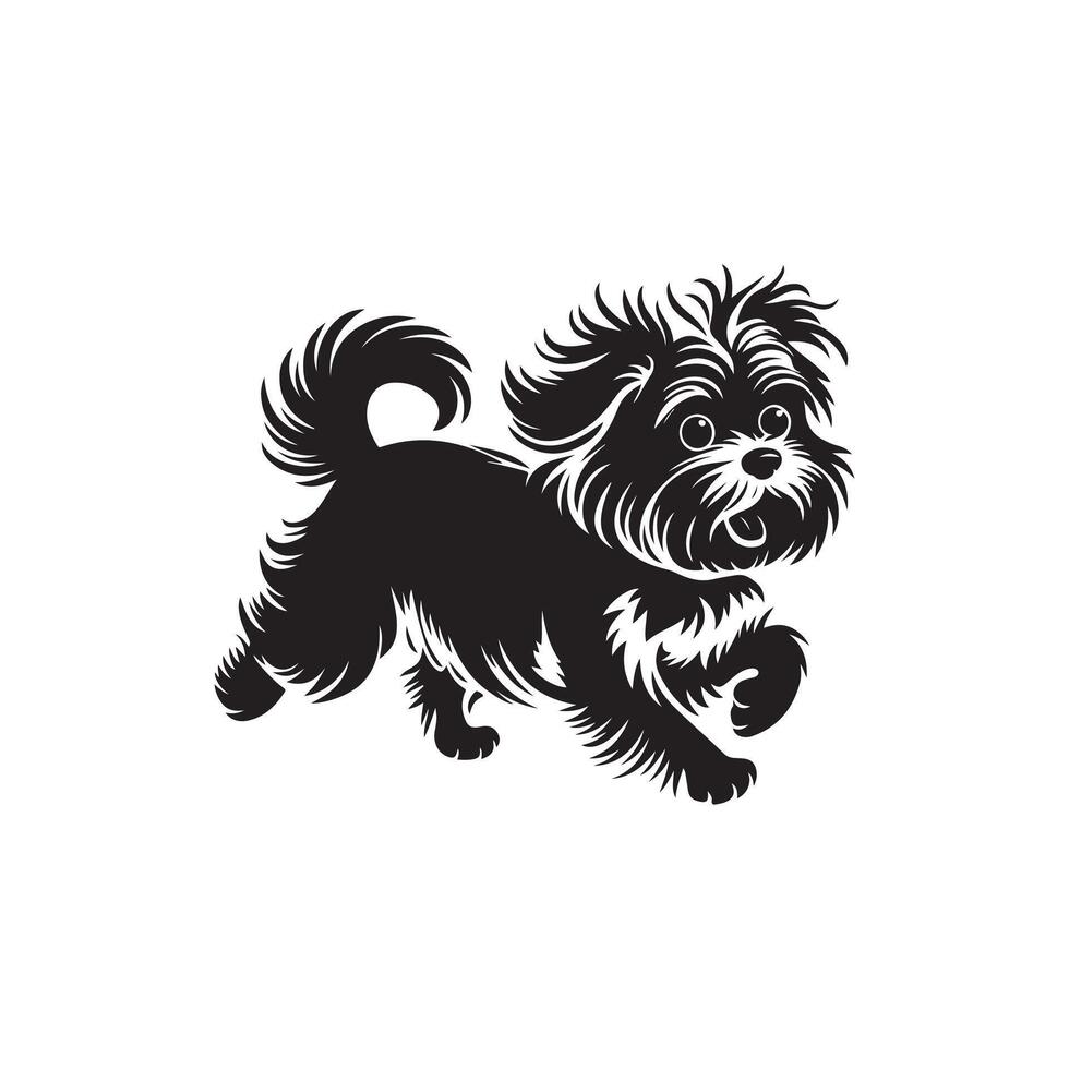 Maltese dog silhouette , illustration, logo style template vector
