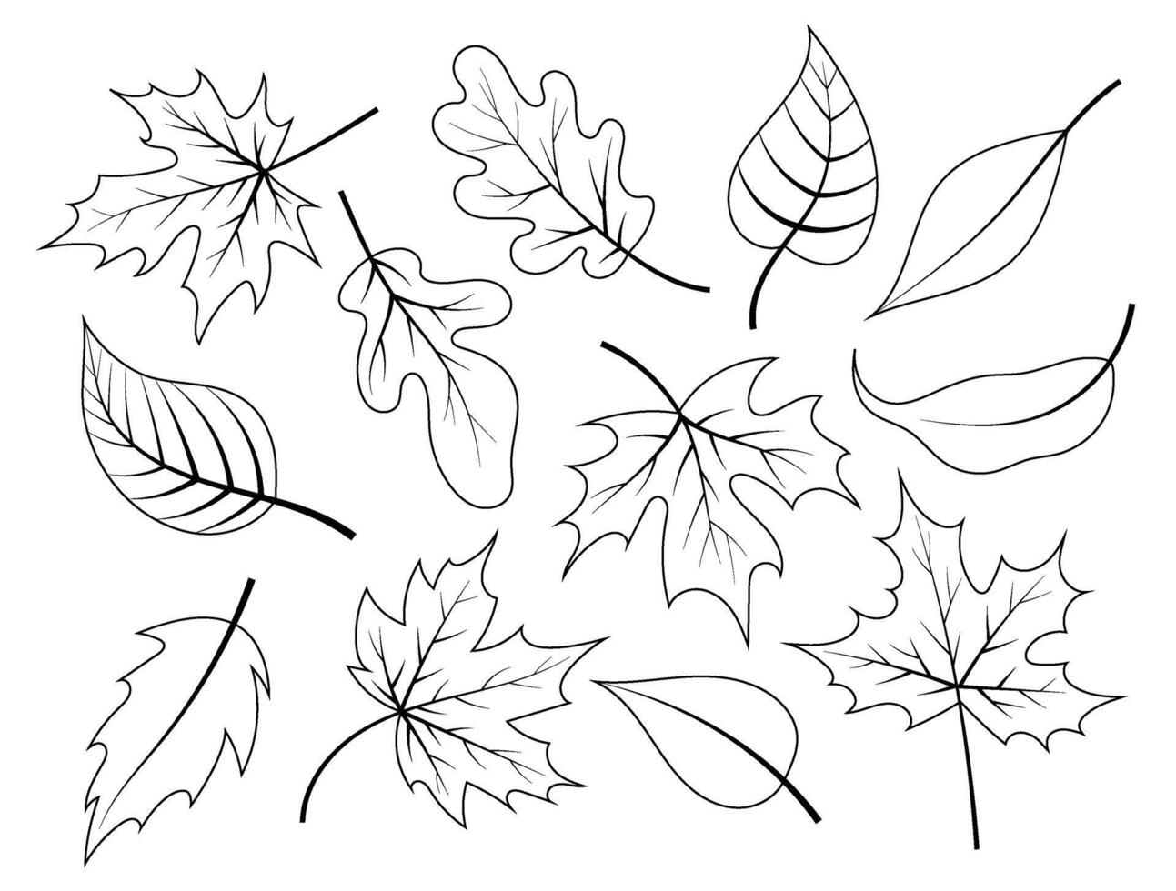 A set of contoured autumn leaves. Autumn colouring for kids. Leaves for backgrounds, decor, cards, banners. Hand drawn in dudul style. vector
