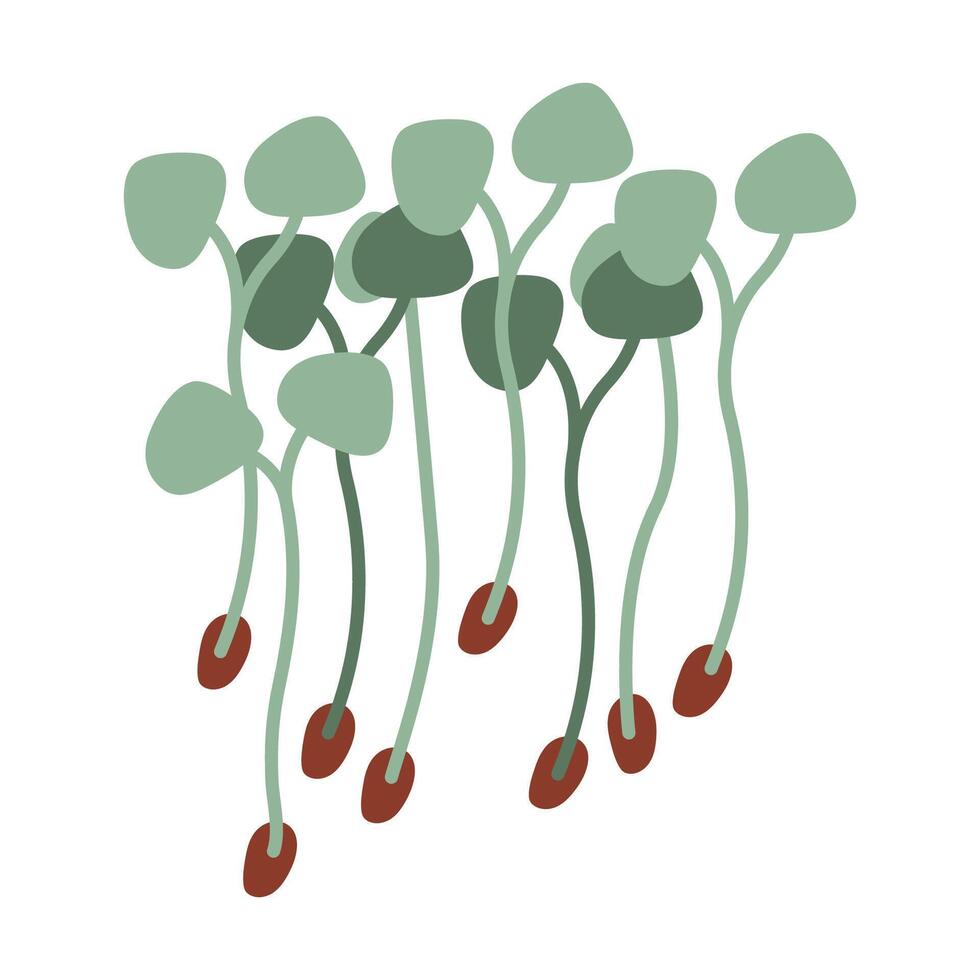 Young sprouts of microgreens isolated on white background. flat illustration. vector