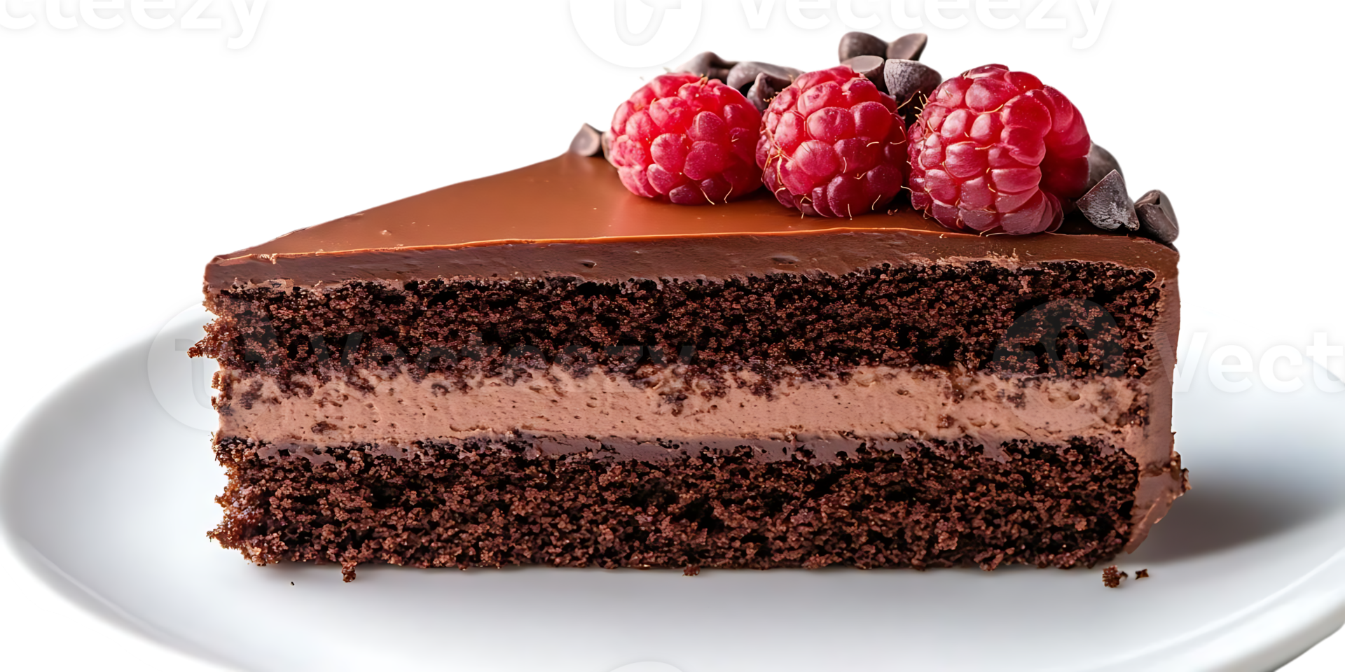 Chocolate Cake with Raspberry and Chocolate Chips on Transparent Background png