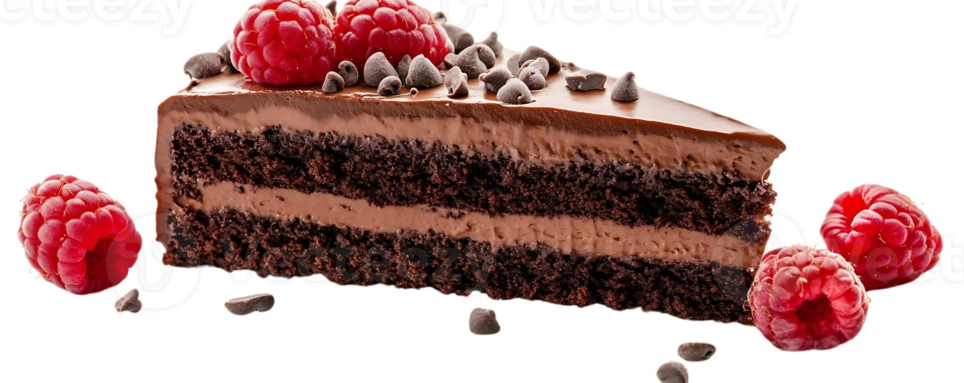 Chocolate Cake with Raspberry and Chocolate Chips, Transparent Background png
