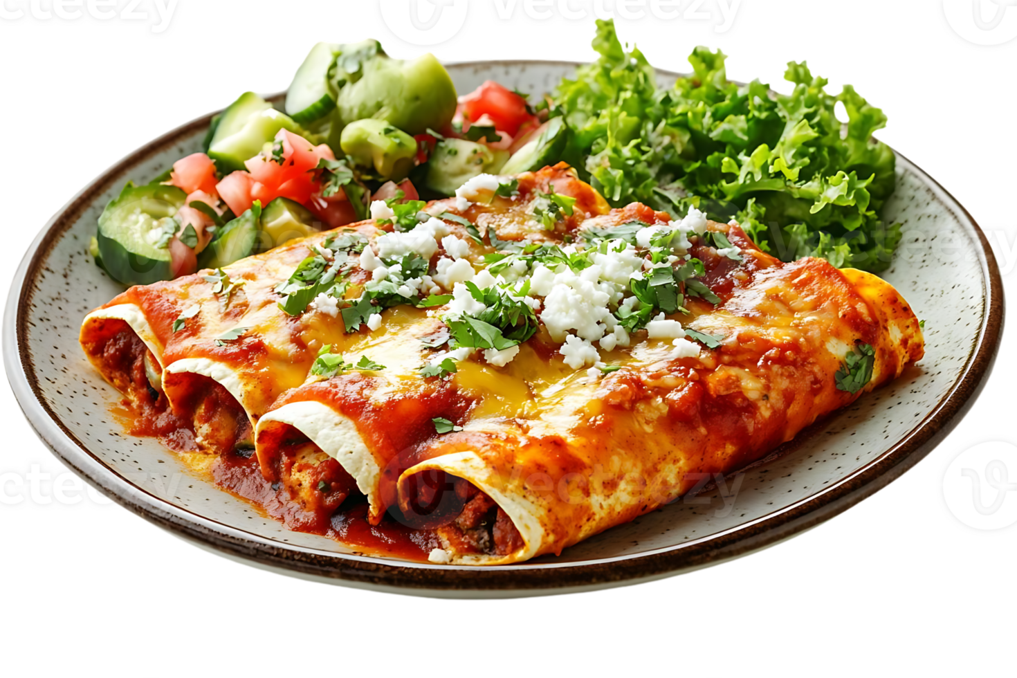 Delicious Chicken Enchiladas with Creamy Sauce and Fresh Salad on a Transparent Background png