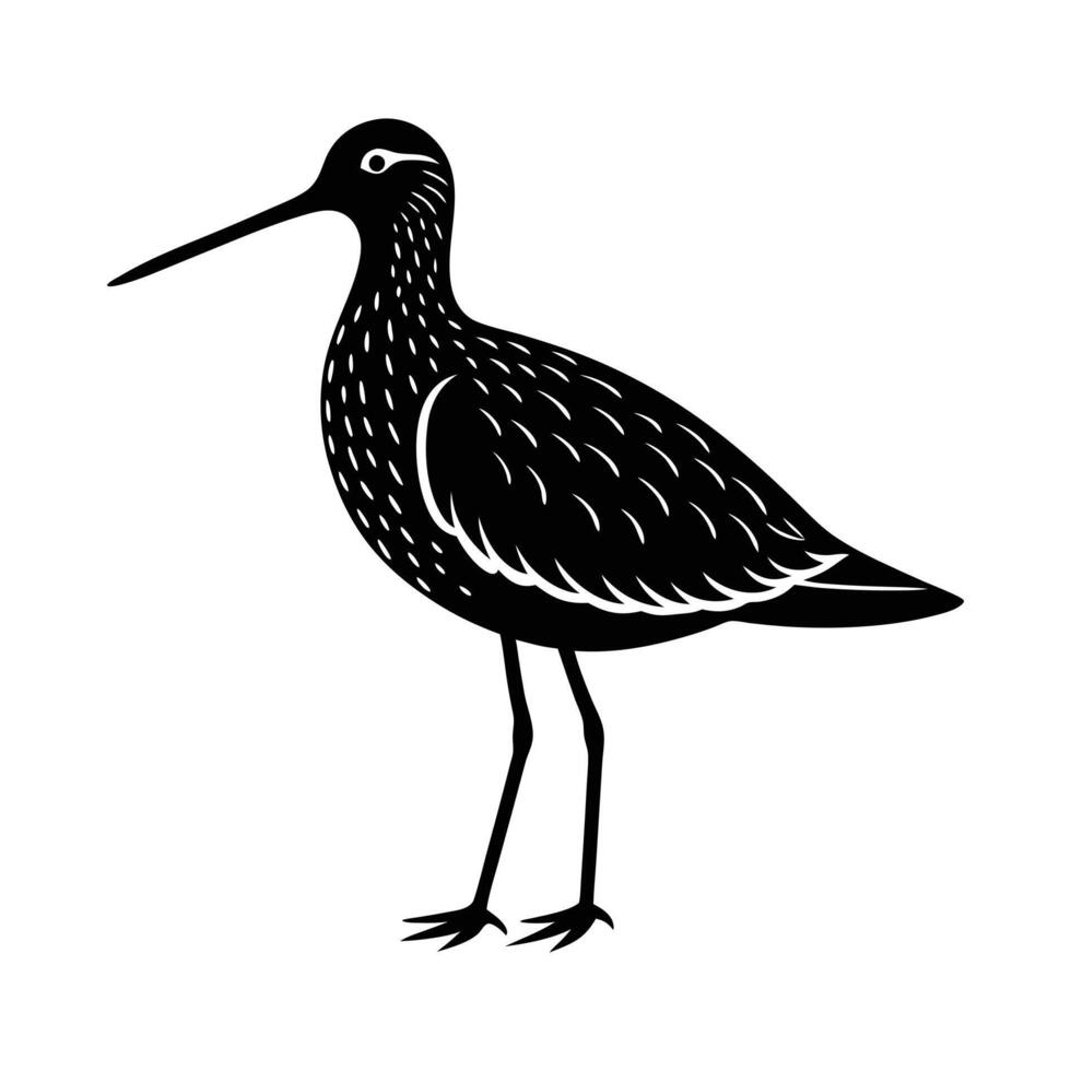 Snipe Bird Images, dowitcher bird silhouette vector