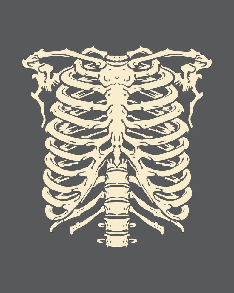 Ribs chest anatomy skeleton clip art illustration t shirt, sticker, tattoo, poster design editable vector