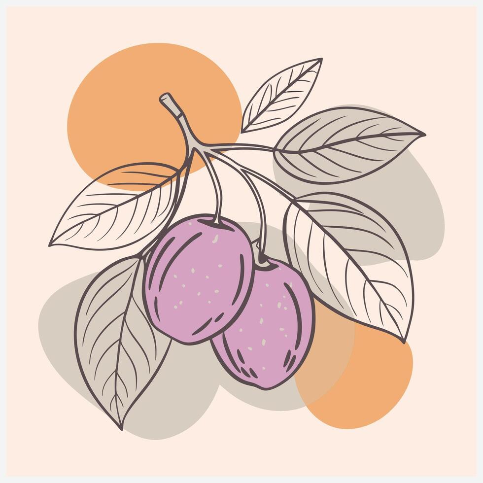 Indian Prune Fruit Illustration vector