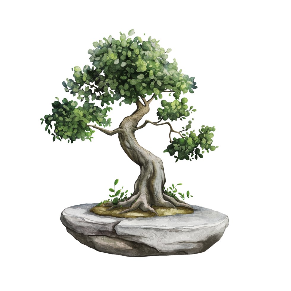 Bonsai tree watercolor, suitable for the decorative design of covers, fabric, invitations, weddings, or greeting cards png