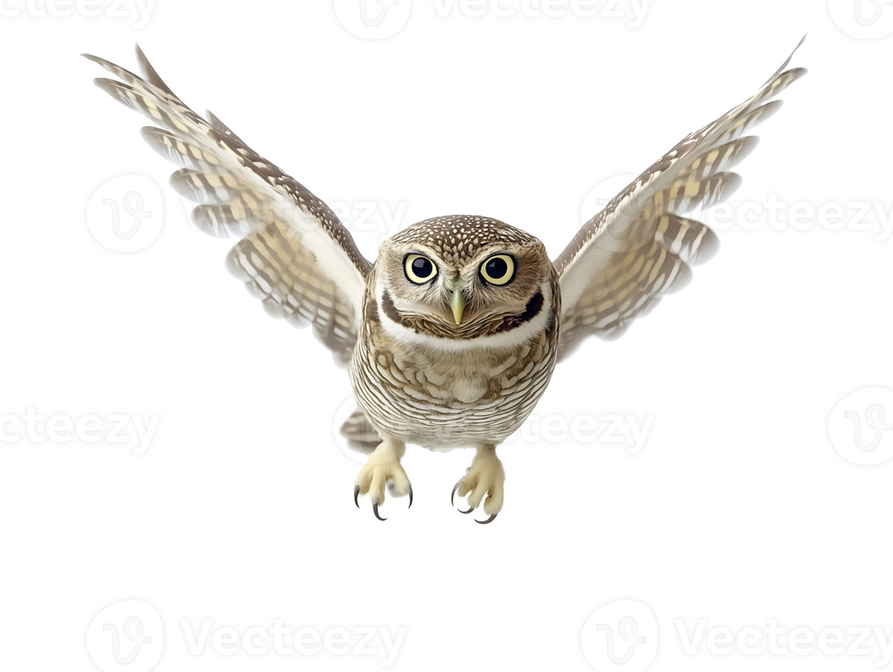 photo of an owl floating mid-air on isolated background png