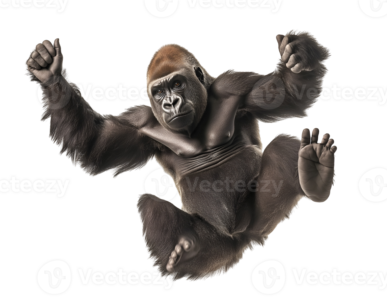 photo of a gorilla floating mid-air on isolated background png